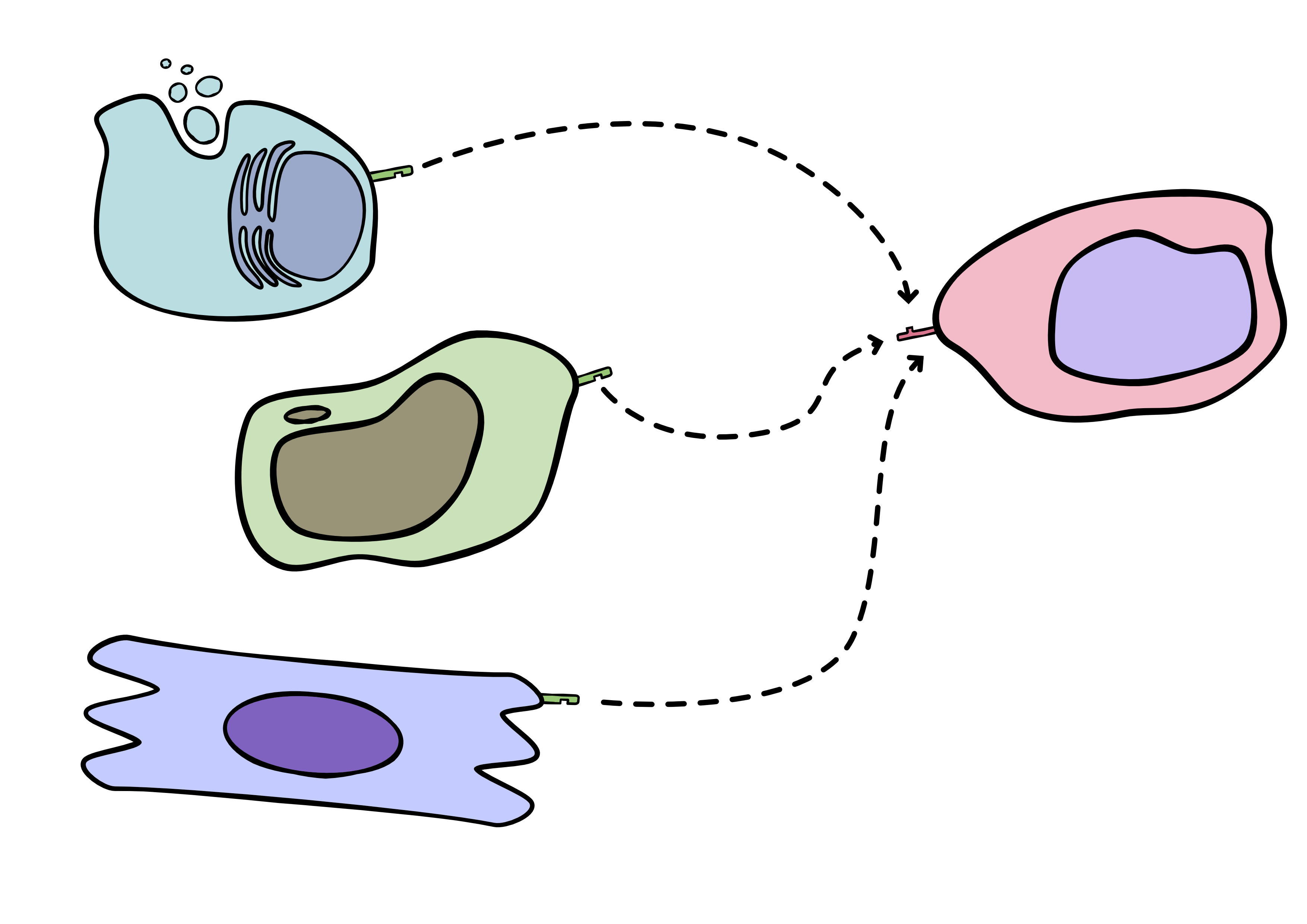 Recording cell-cell communications with multiple sender types.